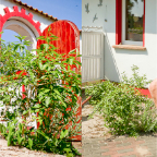 Zingst-03